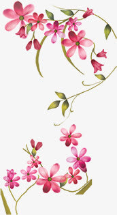 花瓣免抠