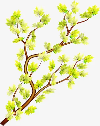 绿色花朵枝条免抠