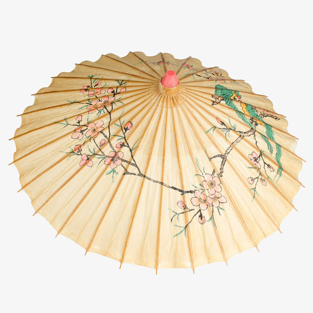 白色花卉油纸伞免抠