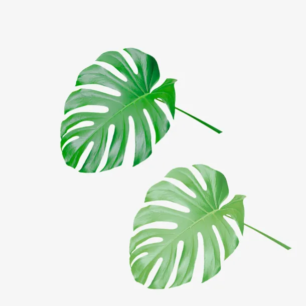 绿色植物装饰叶免抠
