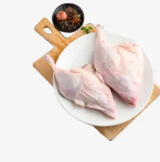 半片鸭免扣素材免抠 半片鸭免扣素材免抠