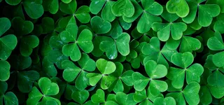 淘宝天猫1920背景图高清