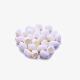 蚕丝蛋白素材免抠