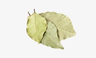 调味料香叶免抠