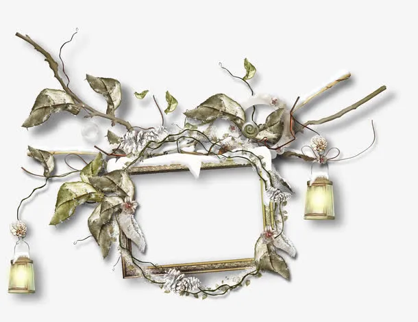 漂亮枯枝相框免抠