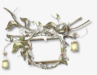 漂亮枯枝相框免抠