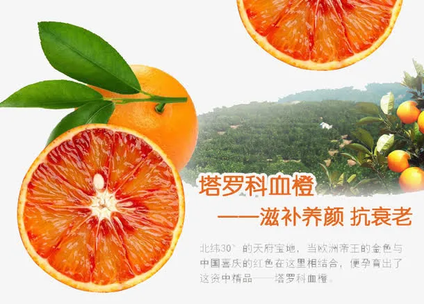 水果配果园背景
