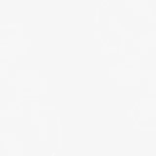 白色简约花纹免抠