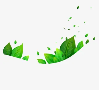 漂浮绿叶素材免抠免抠