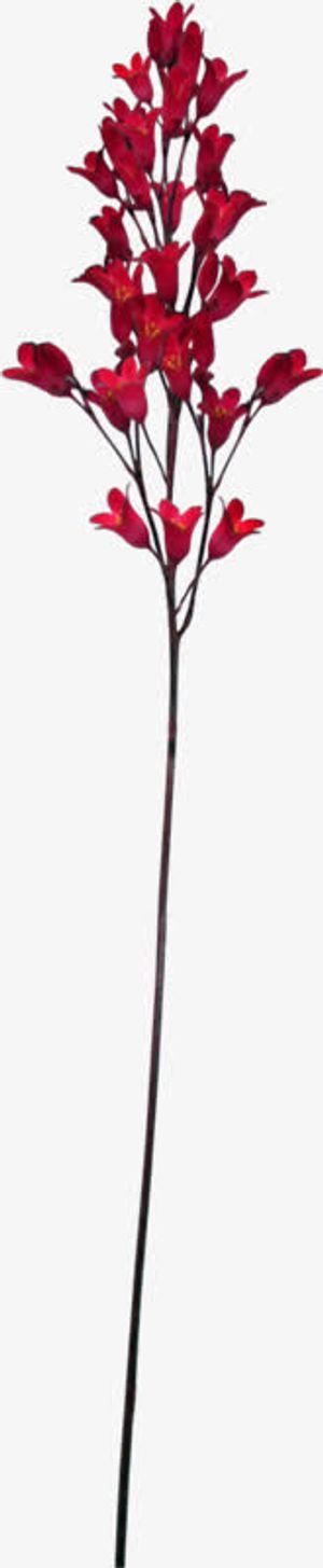 红色花朵树枝免抠