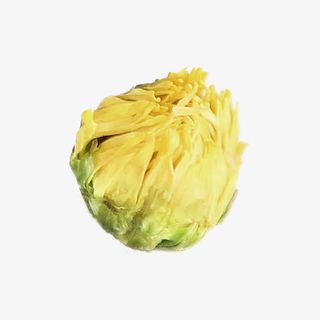 正宗杭白菊花蕾免抠