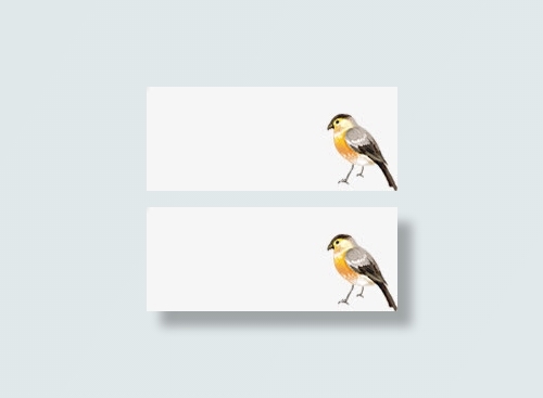 可爱春天小鸟手绘免抠