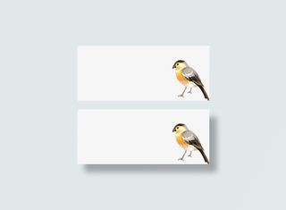 可爱春天小鸟手绘免抠