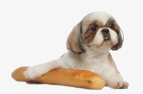 可爱饮食狗狗和法棍免扣免抠