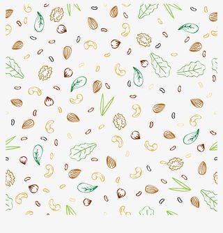 坚果手绘线稿素材免抠