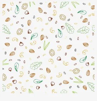 坚果手绘线稿素材免抠