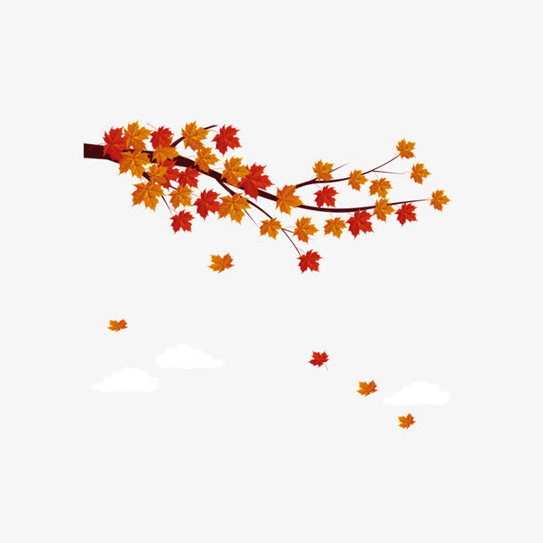 秋天枫叶免抠