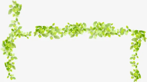 绿色清新树叶边框设计免抠