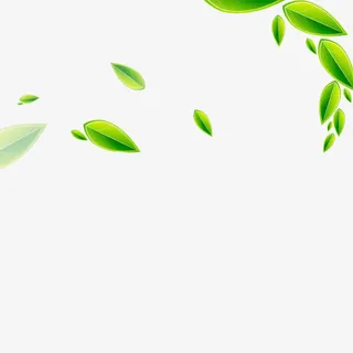 树叶漂浮元素免抠