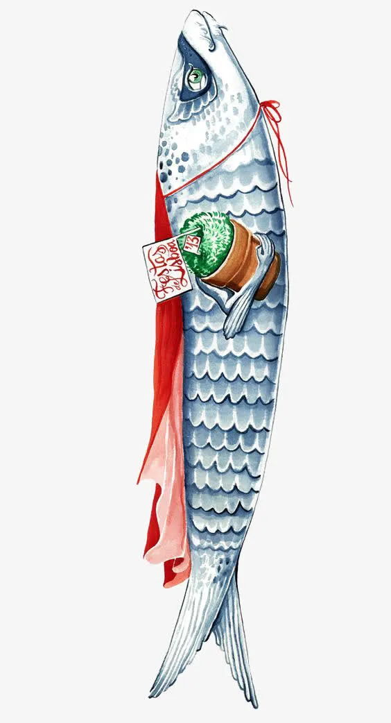 手绘沙丁鱼免抠