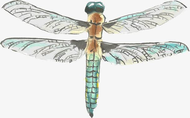 彩绘蜻蜓免抠