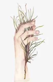 插画纤细的手免抠