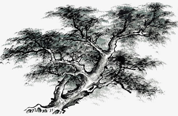 手绘水墨松树免抠