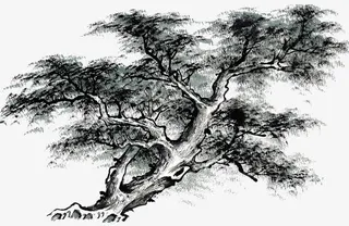 手绘水墨松树免抠