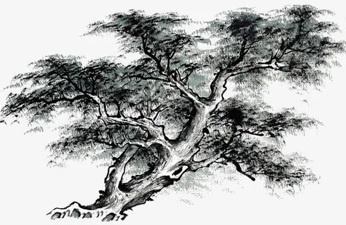 手绘水墨松树免抠 手绘水墨松树免抠