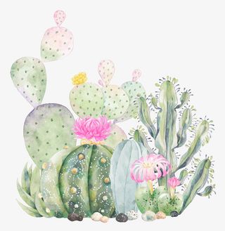 小清新水彩手绘仙人掌免抠