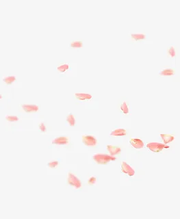 桃花花瓣节日鲜花飘落装饰粉红素材免抠漂浮花瓣元素