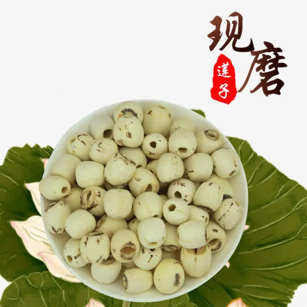 天然无莲心莲子免抠