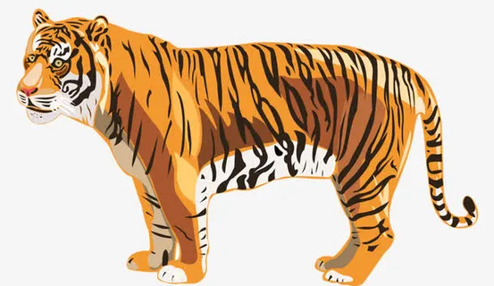 手绘老虎免抠