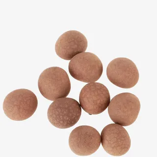 桂圆肉龙眼干免抠