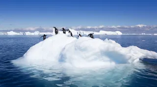 冰山冰块上的企鹅免抠