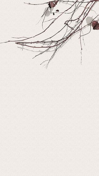 白色墙壁枯树枝H5背景高清