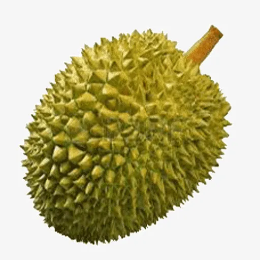 进口榴莲免扣素材免抠
