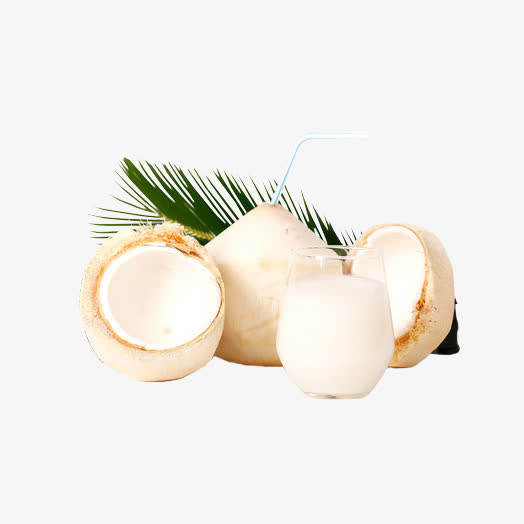 椰青汁椰肉椰树叶免抠