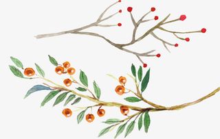 矢量手绘树枝免抠