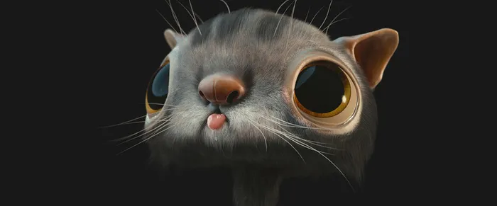 猫咪背景高清