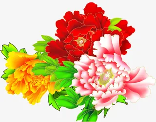 盛开牡丹花朵绿叶免抠