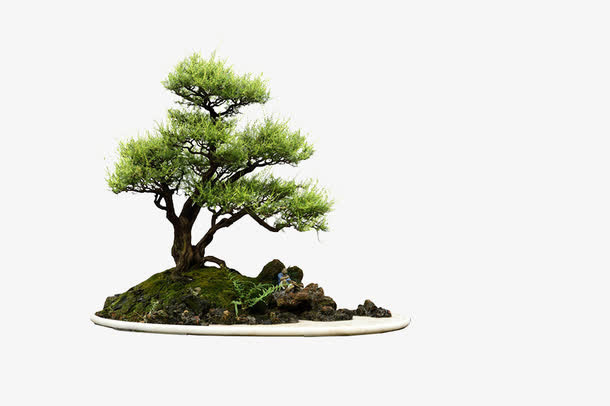 盆栽景观免抠