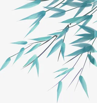 叶子，透明，素材免抠