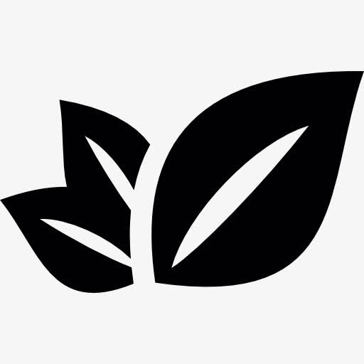 三植物叶片图标免抠
