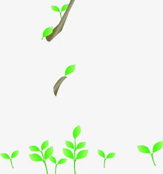绿色清新树叶树枝手绘免抠