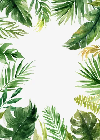 方形的创意边框手绘免抠