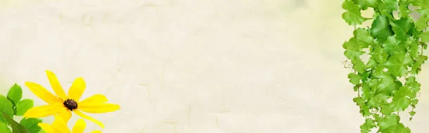 边饰花草爬山虎做旧鹅黄色免抠