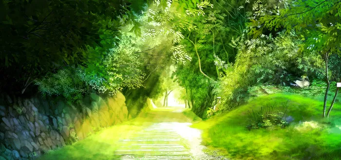 公园植物背景高清