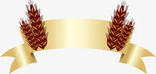 青稞谷物横幅矢量图免抠