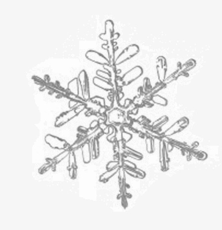 雪花免抠